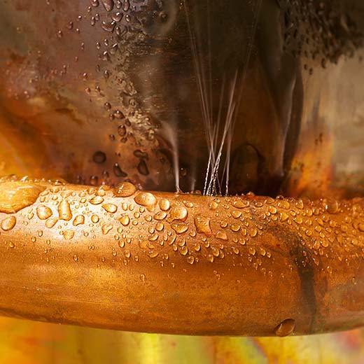 Same Day Rush Plumbing Service, drains, septic, trenchless.